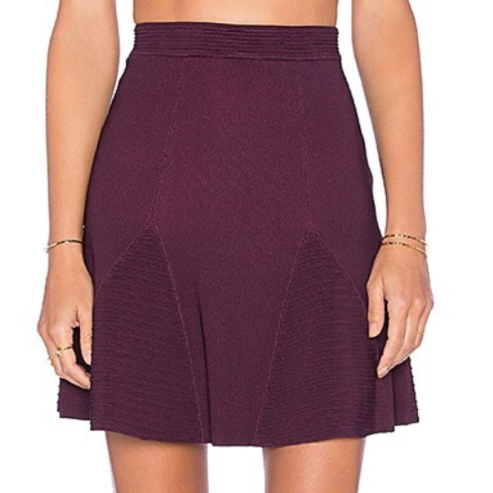 Parker Tempest Fit and Flare Purple Skirt Small